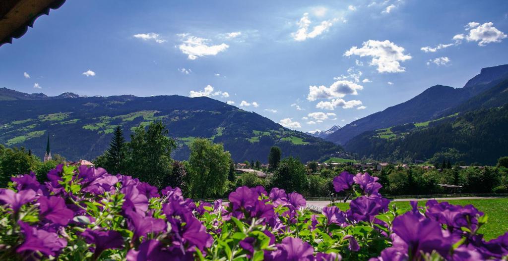 Villa Haidacher Relax&Lifestyle Apartments Zell am Ziller Camera foto